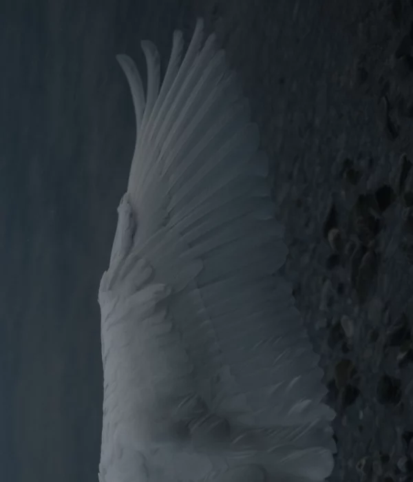 Marie Magnin | Grande eau 2