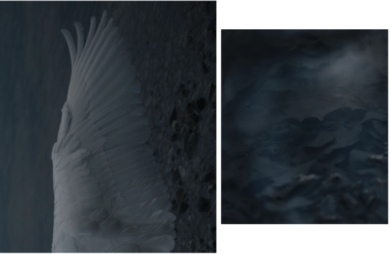 Marie Magnin GRANDE EAU